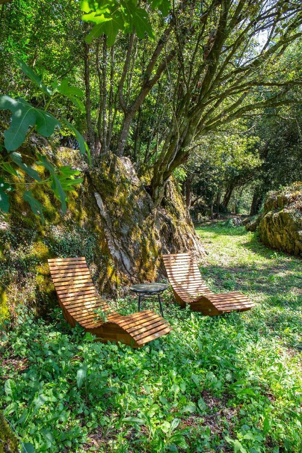ארנוארו Vibe Luxury Cabins מראה חיצוני תמונה